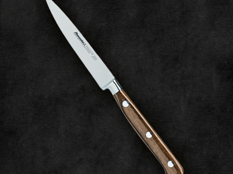 Coltello Verdura Alexander Linea Apollo Plus: il Top